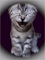 trop mmmmmmmmmmmimmi